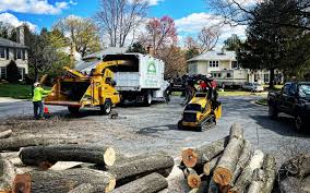 Best Tree Preservation Services  in Hubbard, TX